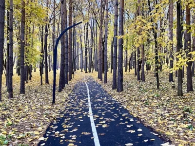 В Уфе прогнозируют резкое потепление